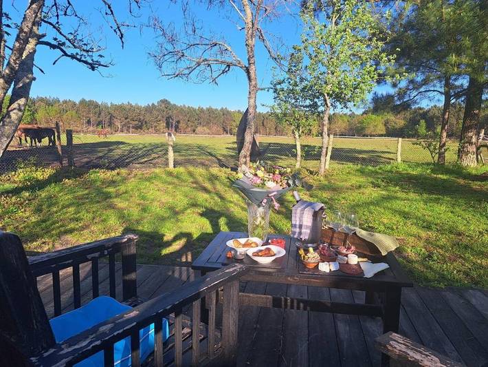 Location de vacances pour 2 personnes, avec terrasse ainsi que jardin et jacuzzi à Le Barp - 3