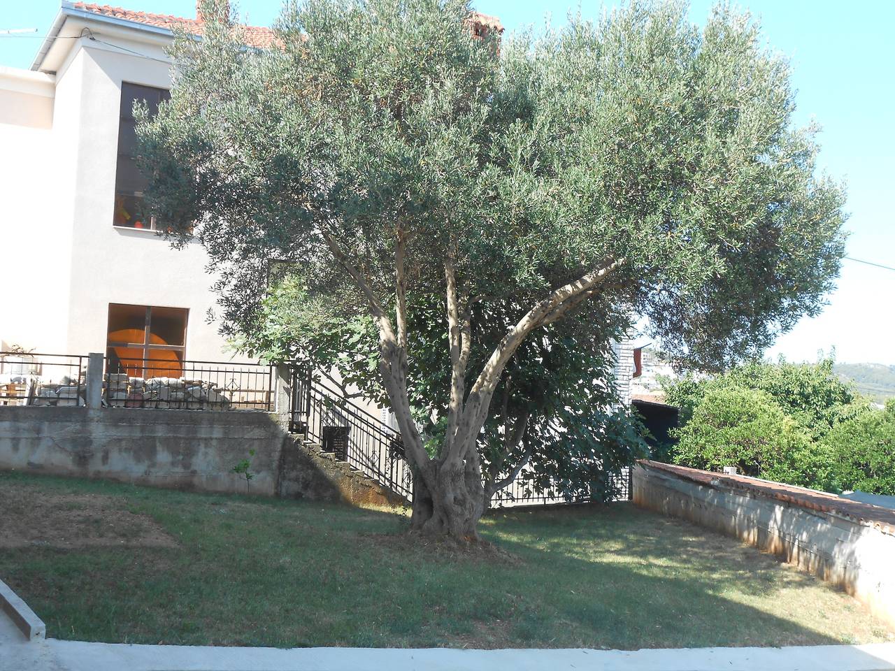 Ganze Wohnung, Studio Appartement mit Balkon und Meerblick Okrug Gornji, Ciovo As-13859-a in Okrug Gornji, Ciovo