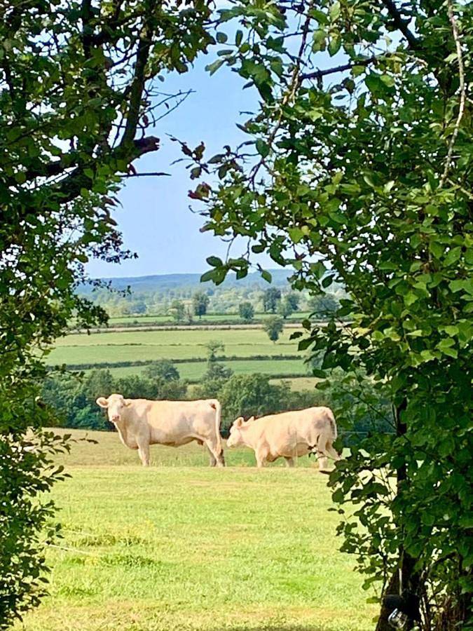 Tente pour 4 personnes, avec jardin et piscine ainsi que vue et terrasse dans la Creuse - 4
