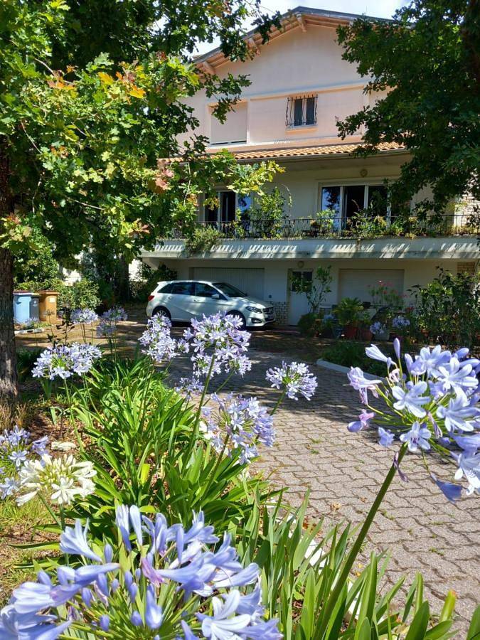 Chambre d’hôte pour 2 personnes, avec vue et jardin à Arcachon - 2