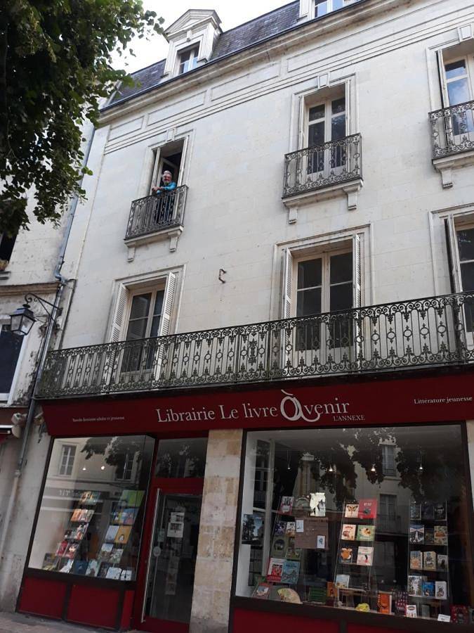 Gîte pour 9 personnes, avec terrasse, animaux acceptés dans Château de Saumur - 2