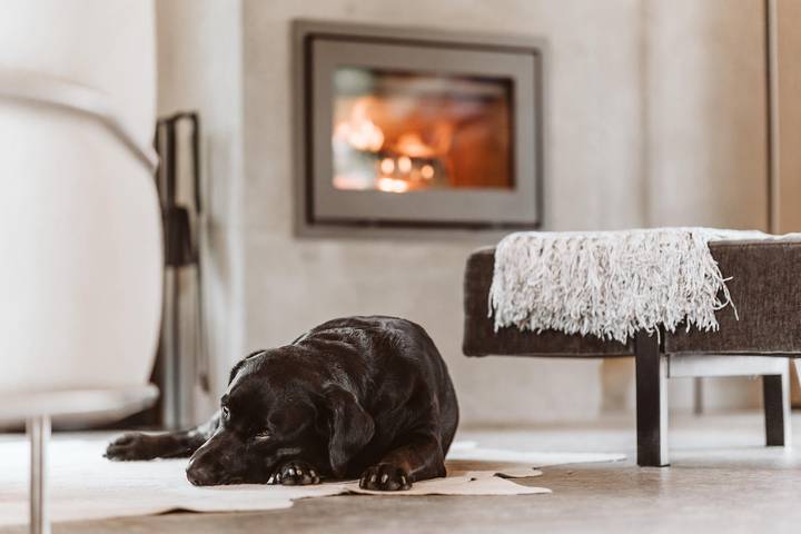 Ferienhaus für 15 Personen, mit Garten und Sauna in der Stuttgart Region - 3