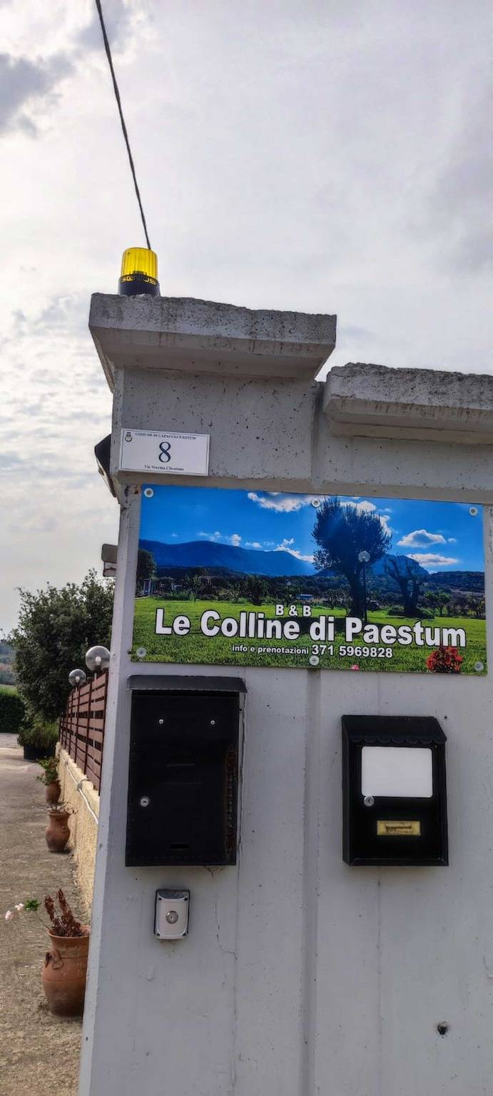 Chambre d'hôtes 'Le Colline Di Paestum' avec Wi-Fi et climatisation in Capaccio, Cilento Coast