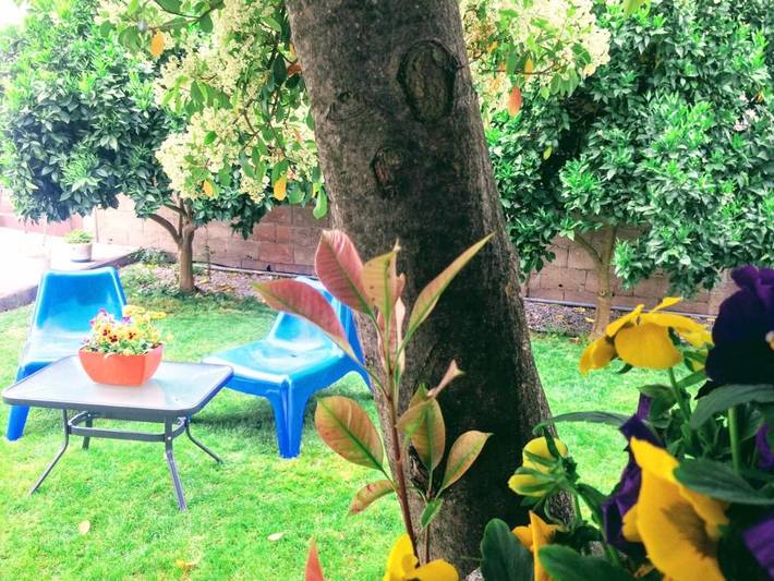 Location de vacances pour 4 personnes, avec jardin et vue à Mirandela - 3