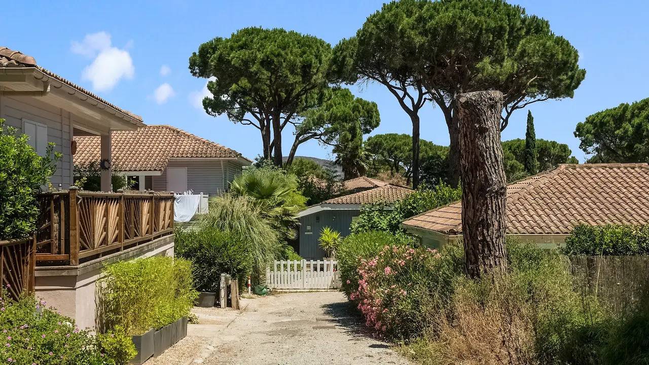 Ferienhaus für 5 Personen (55 m²) in Gassin in Gassin, Côte méditerranéenne (France)