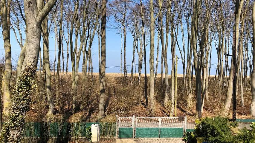 Ferienhaus für 6 Personen, mit Sauna und Terrasse sowie Garten in der Rostocker Heide - 4