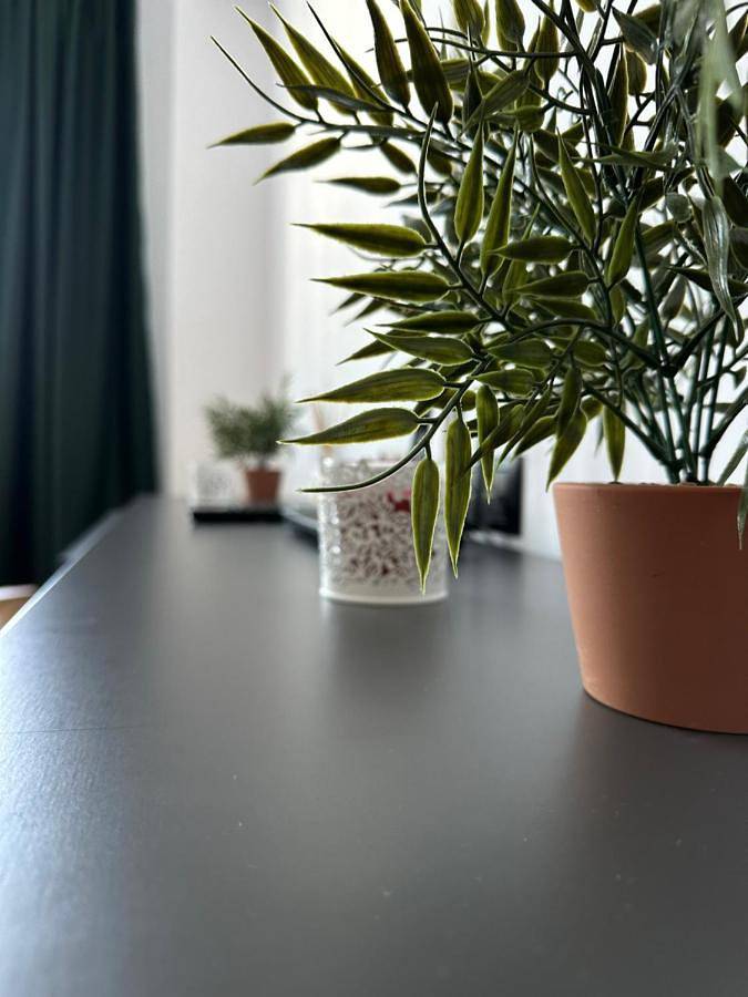 Gîte pour 2 personnes, avec balcon dans Cluj-Napoca - 3