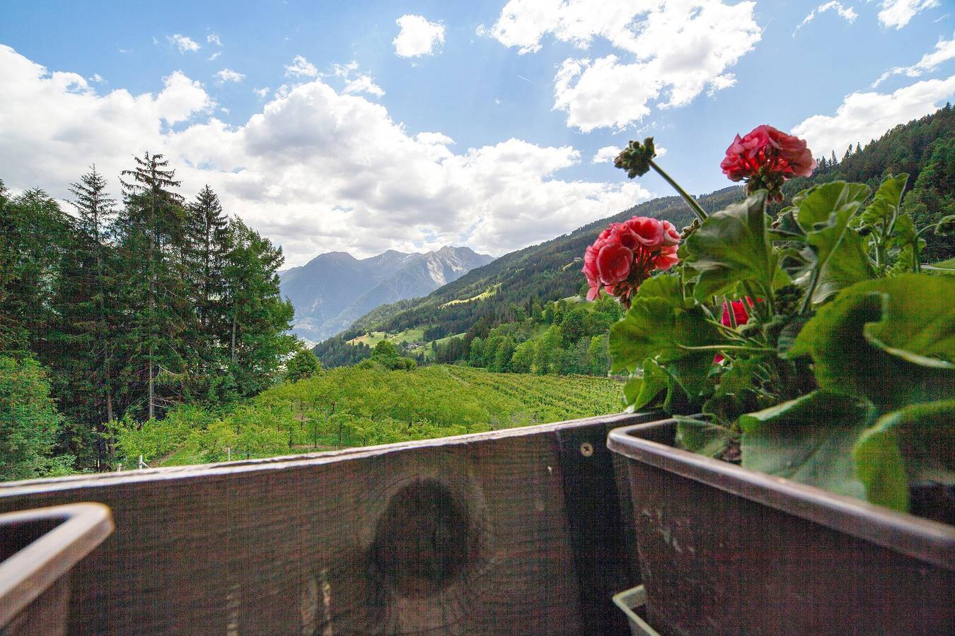 Appartement 'A' met Uitzicht op de Bergen, Balkon en Wi-Fi, foto 12