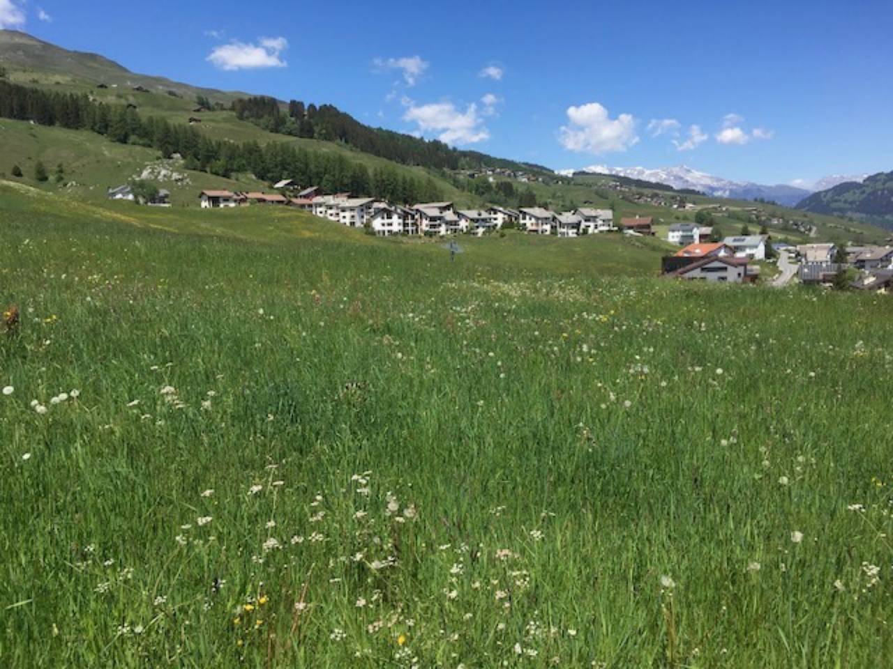 Ganze Ferienwohnung, Ferienwohnung Sur Mulins 12.4, Vella - 2 Zimmer Ferienwohnung für max. 2 Pers. im Eg in Lumnezia, Alpenarena