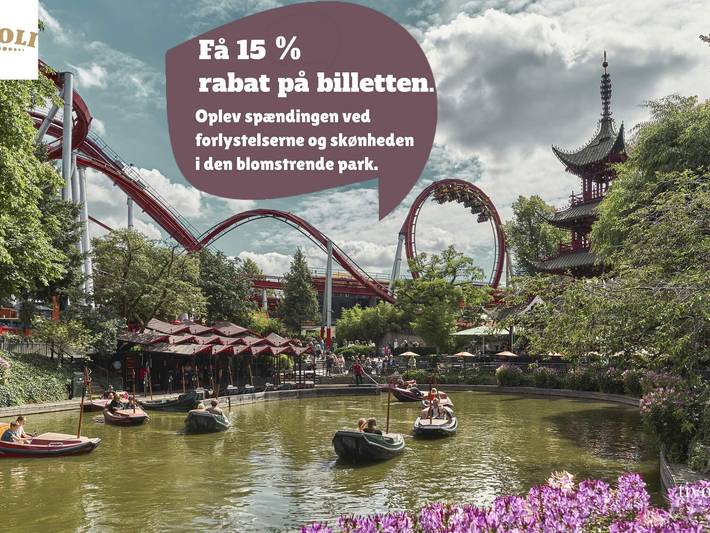 Ferienhaus für 5 Personen, mit Terrasse auf Seeland - 4