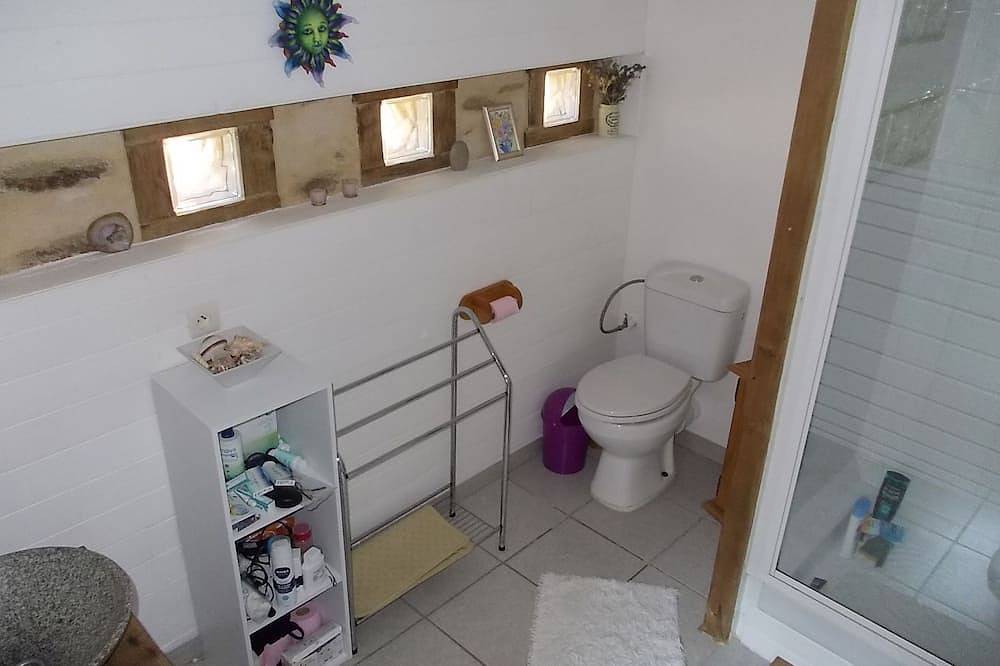 Stargazer est un chalet typique des travailleurs agricoles de Berrichone. in Pérassay, Région de La Châtre