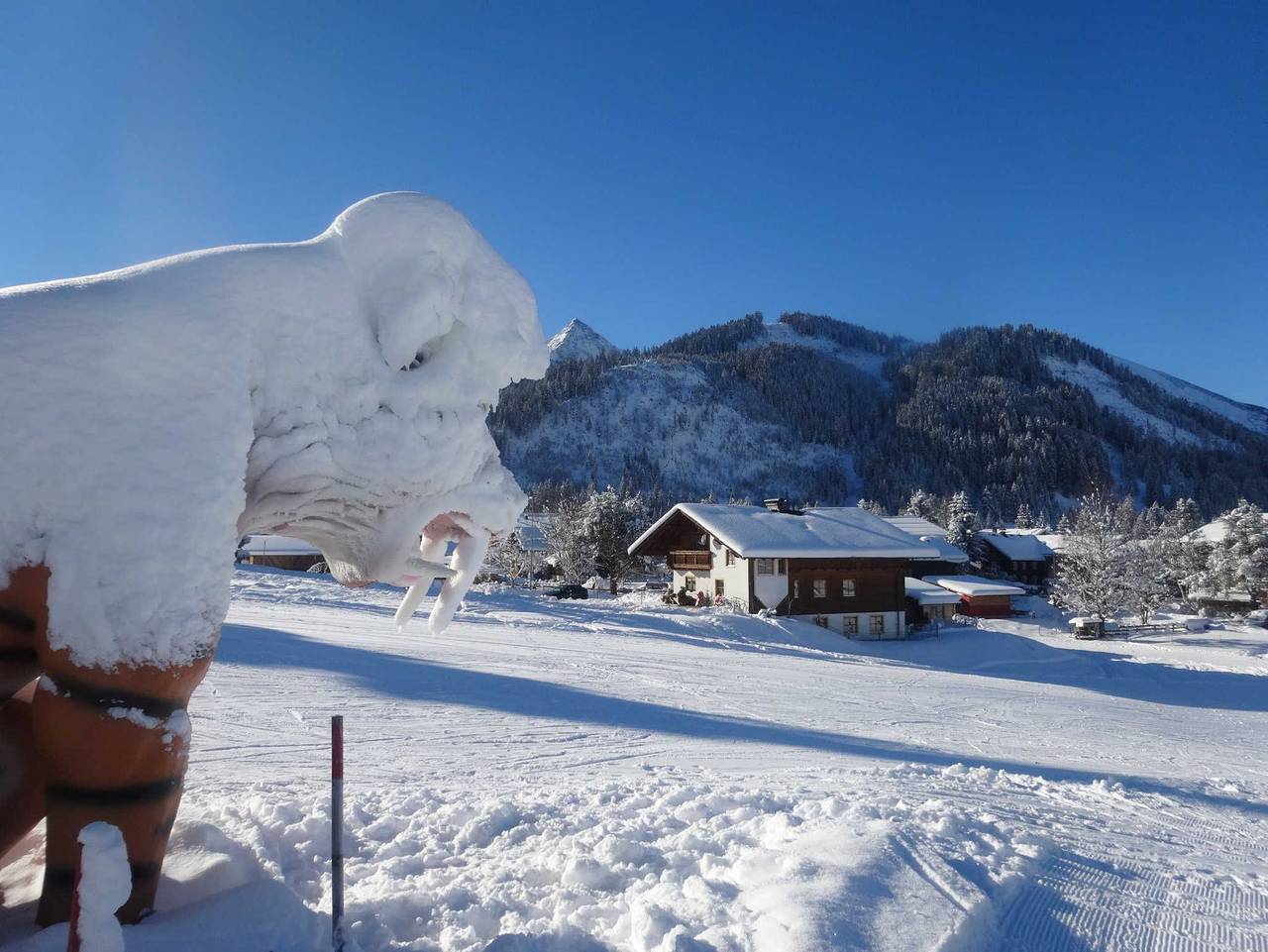 Ganze Wohnung, Haus Regenacker - Einstein in Tannheim (Tirol), Allgäuer Alpen (Österreich)