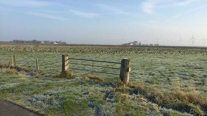 Ferienwohnung für 4 Personen in Ockholm, Nordfriesland, Bild 1