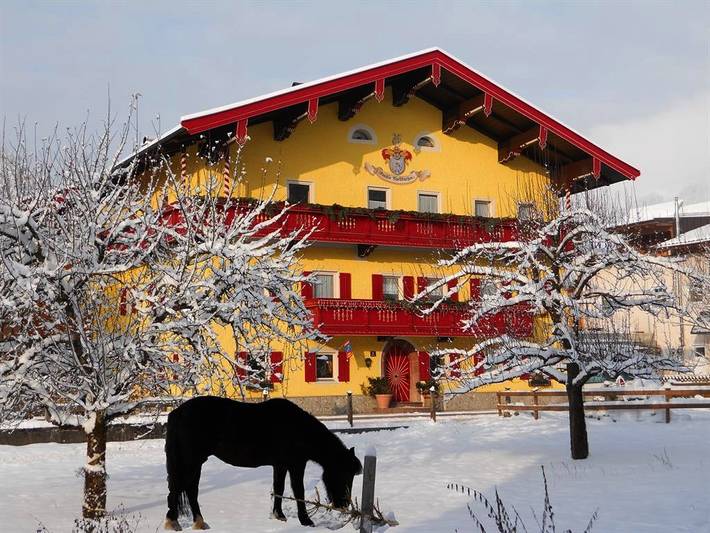 Bauernhof für 3 Personen, mit Haustier in Österreich - 2