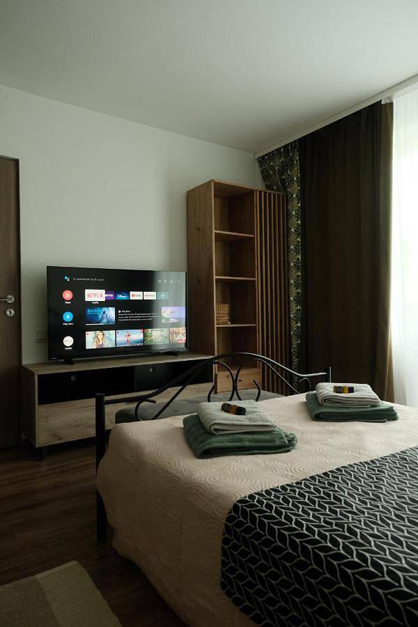 Gîte pour 4 personnes, avec balcon dans Baia Mare - 3