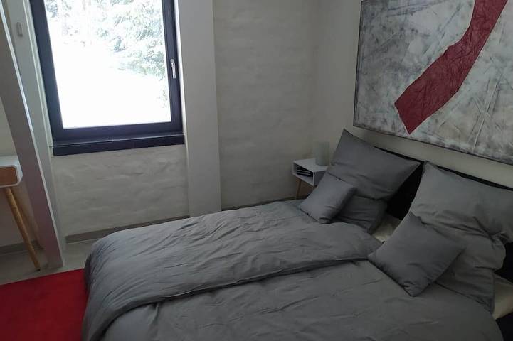 Ferienhaus für 12 Personen, mit Garten und Terrasse in Thüringen - 4