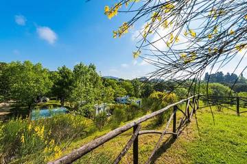 Glamping per 6 Persone in Rignano sull'Arno, Valdarno, Foto 2