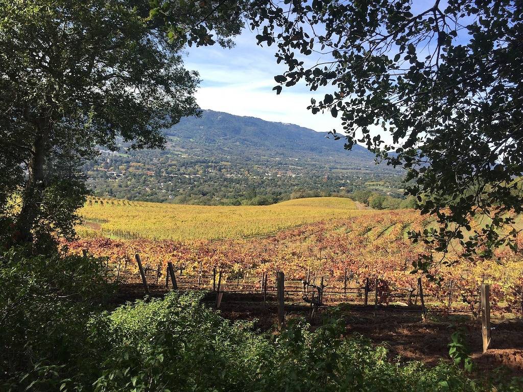 Bungalow für 5 Personen in Napa, San Francisco Bay Area