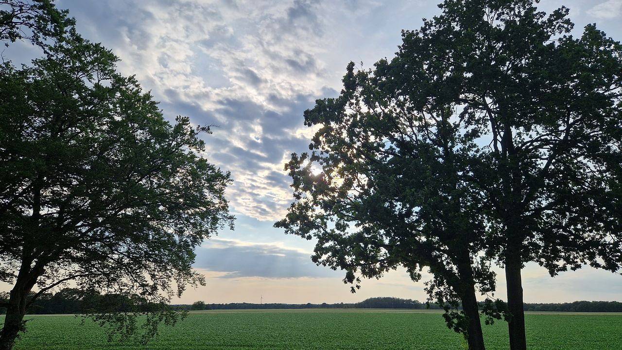 Ganze Ferienwohnung, Ferienwohnung für 4 Personen (65 m²) in Haselünne in Haselünne, Hasetal
