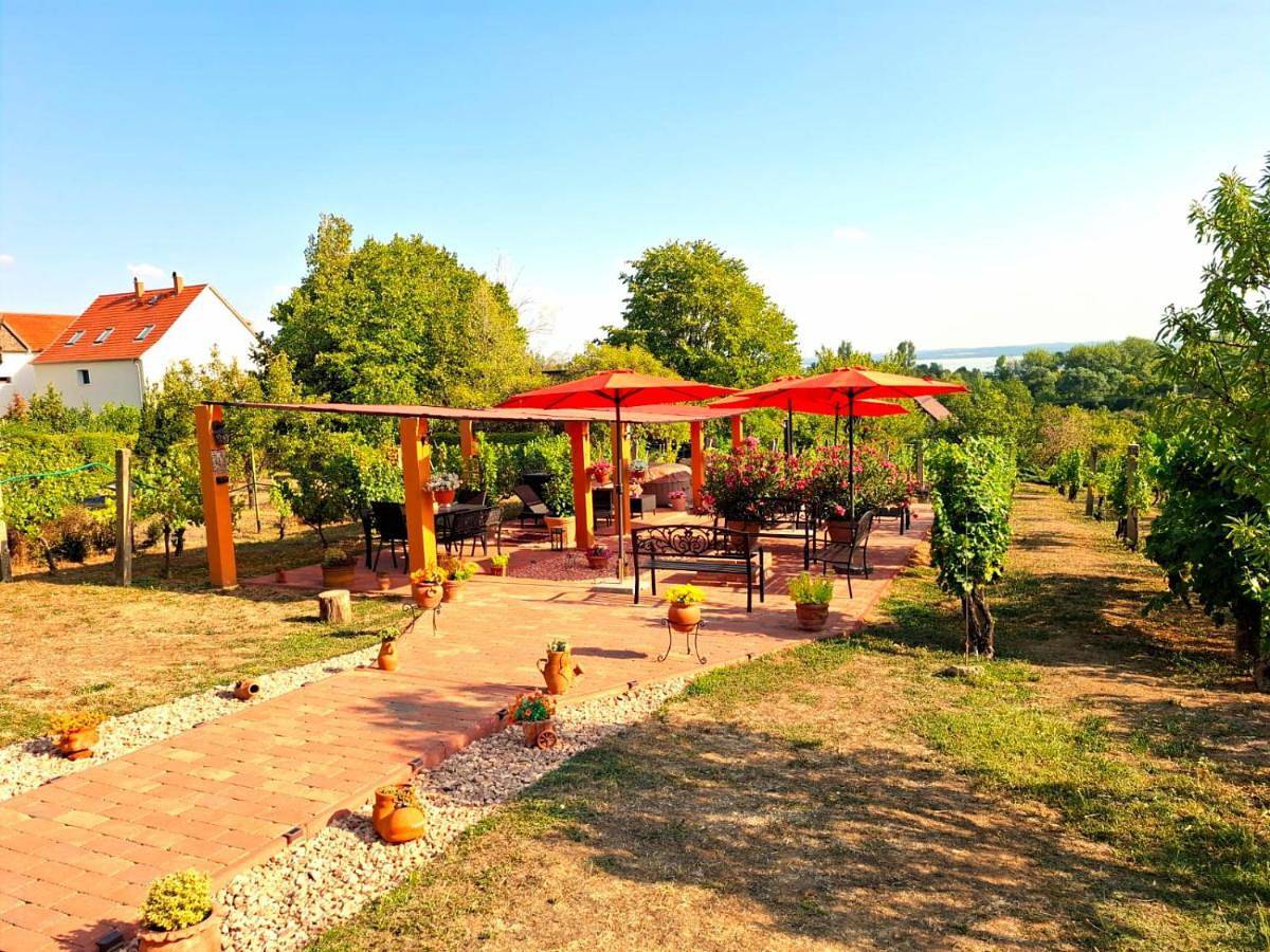 Linczi Ház in Csopak, Balatonfüredi járás