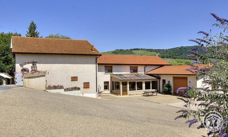 Gîte pour 10 personnes, avec terrasse à Fleurie
