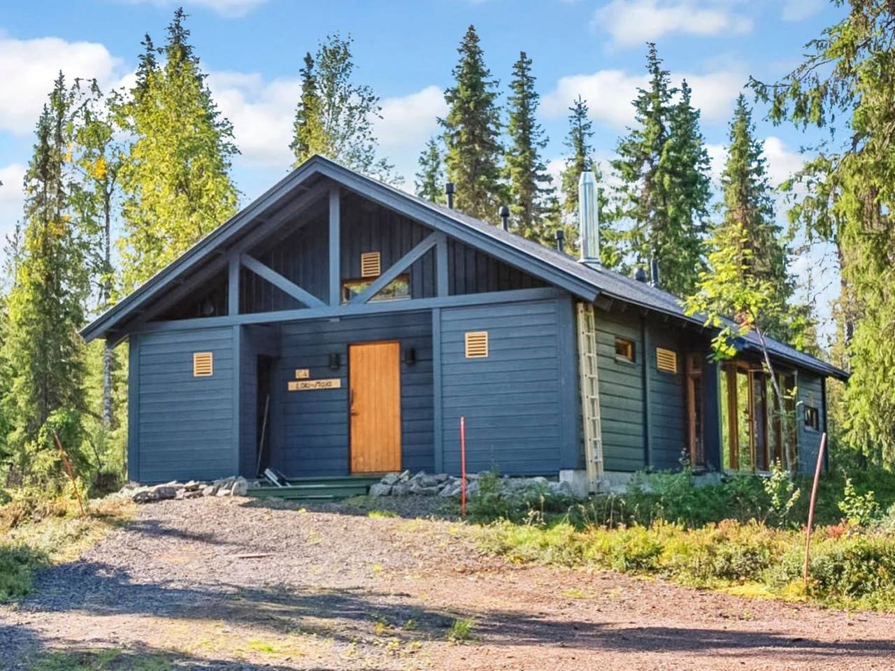 Sinikuono in Ylläsjärvi, Lappland