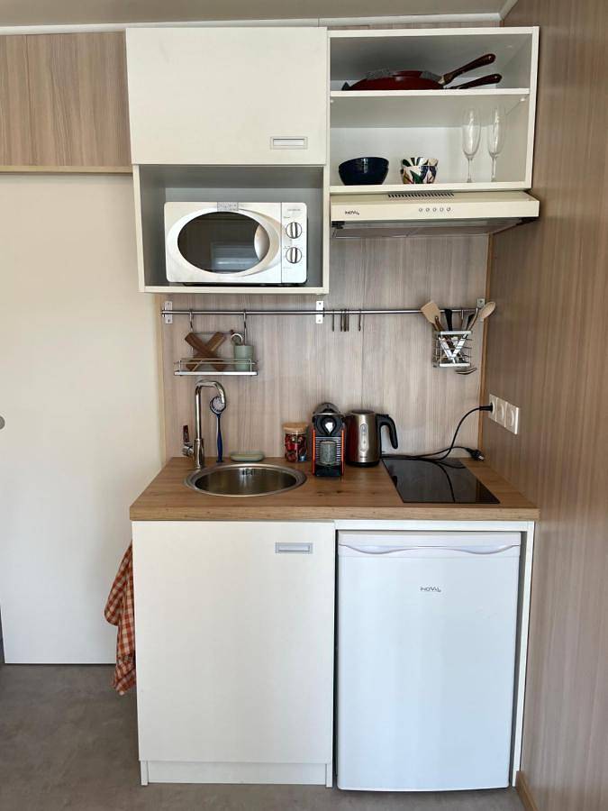Location de vacances pour 2 personnes, avec terrasse et vue, animaux acceptés à Chindrieux - 4