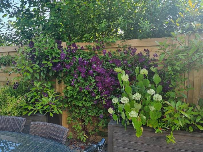 Location de vacances pour 6 personnes, avec jardin, animaux acceptés à Givenchy-en-Gohelle - 3