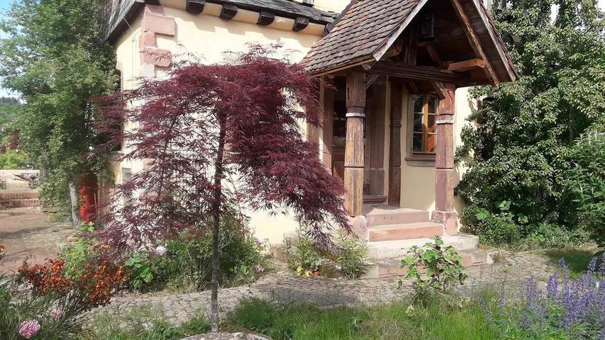 Ferienwohnung für 4 Personen, mit Garten in Main-Odenwald - 3