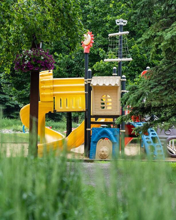 Gîte pour 4 personnes, avec terrasse et jardin, animaux acceptés dans Mont-Tremblant - 2