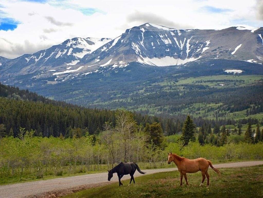 Vacation House for 6 Guests in Montana, USA
