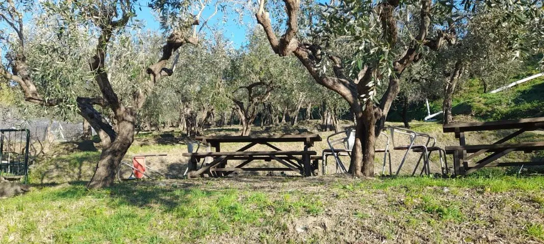 Studio pour 3 personnes, avec jardin - 1