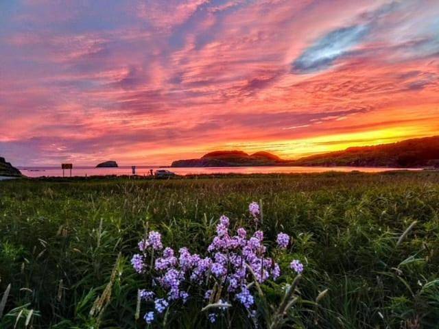 Location de vacances pour 6 personnes, avec terrasse et jardin dans Twillingate
