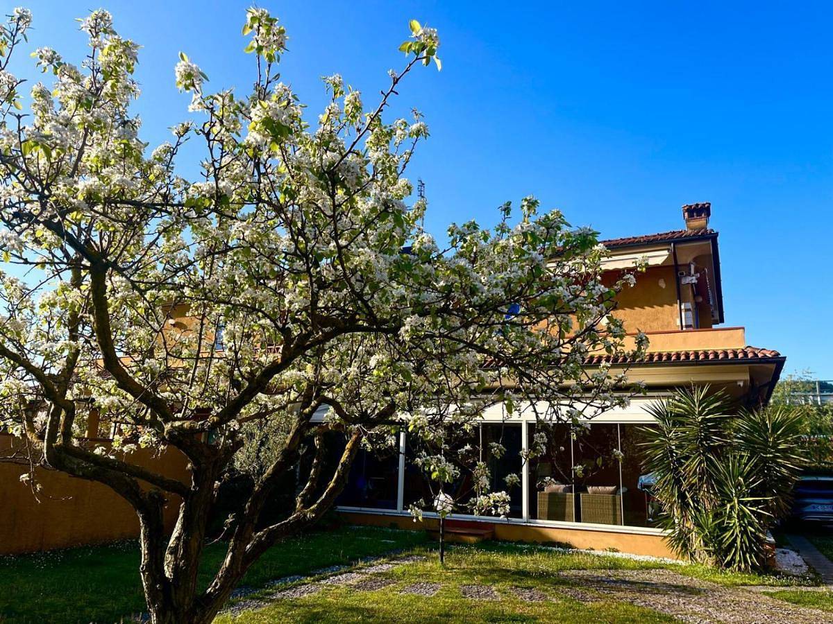 Two-Bedroom House in Marina di Carrara, Carrara