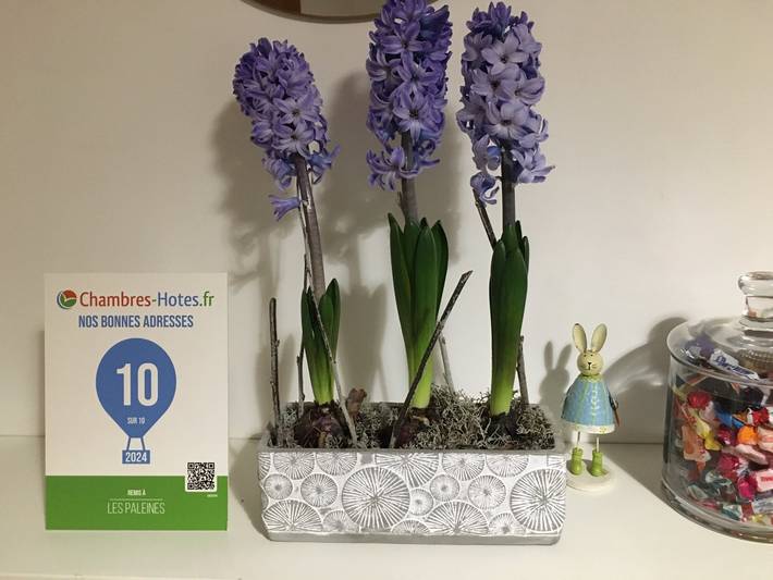 Chambre d’hôte pour 2 personnes, avec jardin en Charente - 4