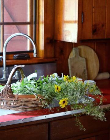 Lodge for 8 Guests in Pike County, Picture 2