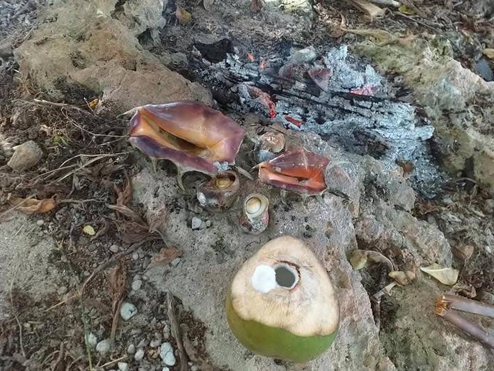 Maison d’hôte pour 2 personnes, avec jardin En Nouvelle-Calédonie - 2