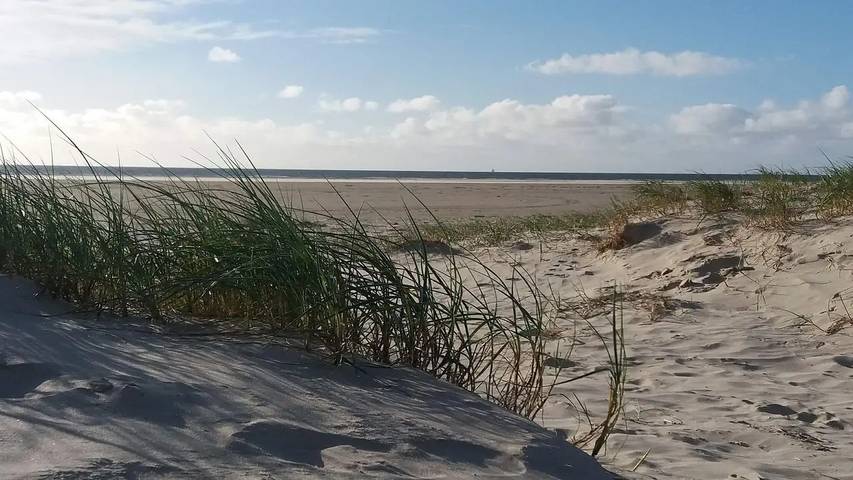 Ferienwohnung für 7 Personen, mit Balkon in Drachenfestival Fanø - 4