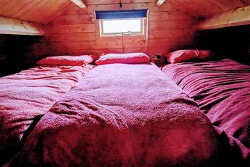 Cottage for 5 People in Brynsiencyn, Isle of Anglesey, Photo 3