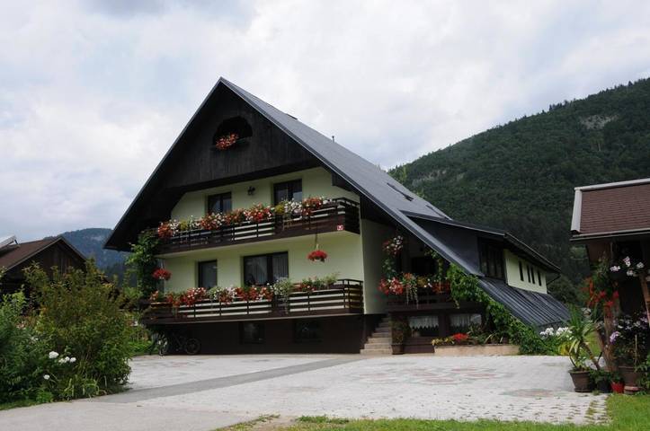 Gîte pour 9 personnes, avec jardin et vue, animaux acceptés dans Bohinjska Bistrica
