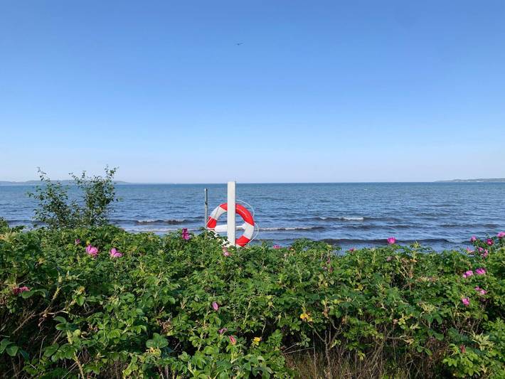 Ferienhaus für 8 Personen, mit Garten, mit Haustier in Mørkholt - 3