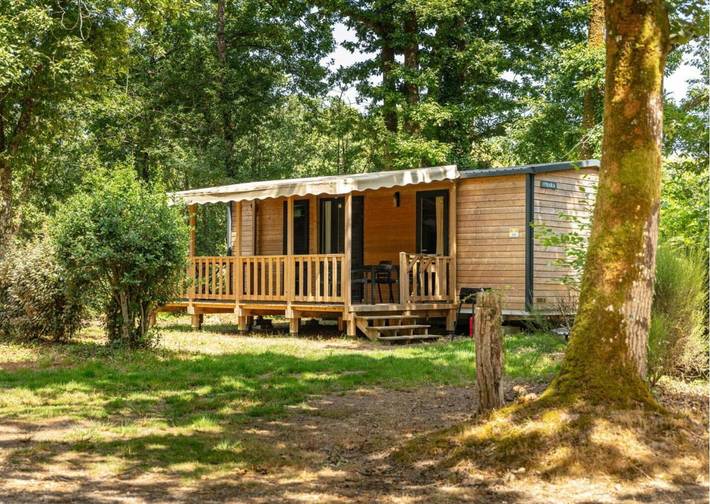 Location de vacances pour 6 personnes, avec sauna et jacuzzi ainsi que piscine et terrasse, animaux acceptés à Saint-Julien-des-Landes - 2