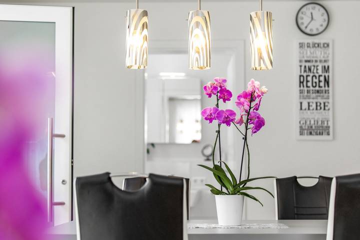 Entire apartment, Apartment "Dußlingen" with Private Terrace & Wi-Fi in Dußlingen, Neckar-Alb