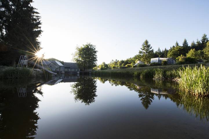 Camping für 2 Personen, mit Garten in Rheinland-Pfalz - 3