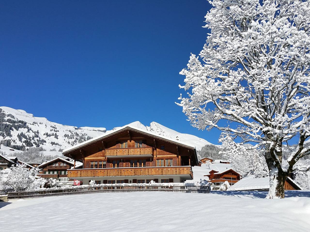 Appartement entier, Lohnerhus in Grindelwald, Région de Grindelwald