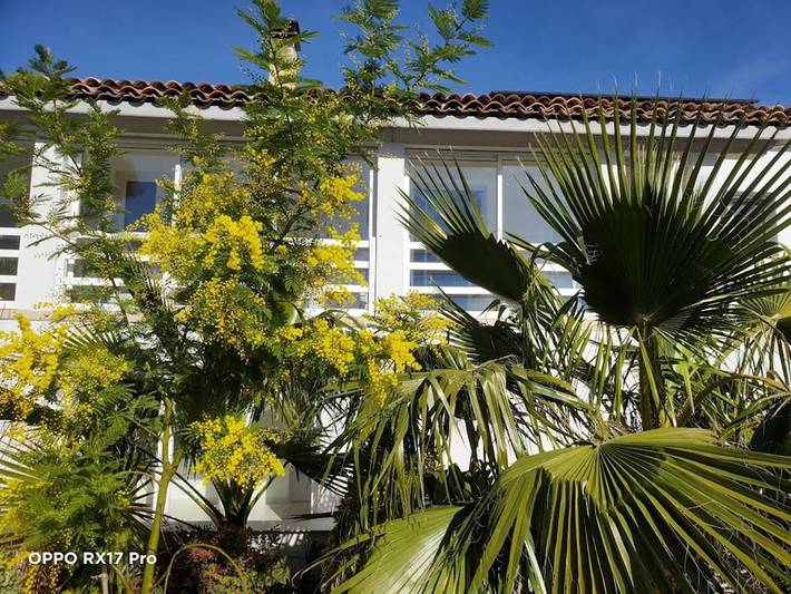 Chambre d’hôte pour 8 personnes, avec Terrasse ainsi que Jardin et Piscine à Agde