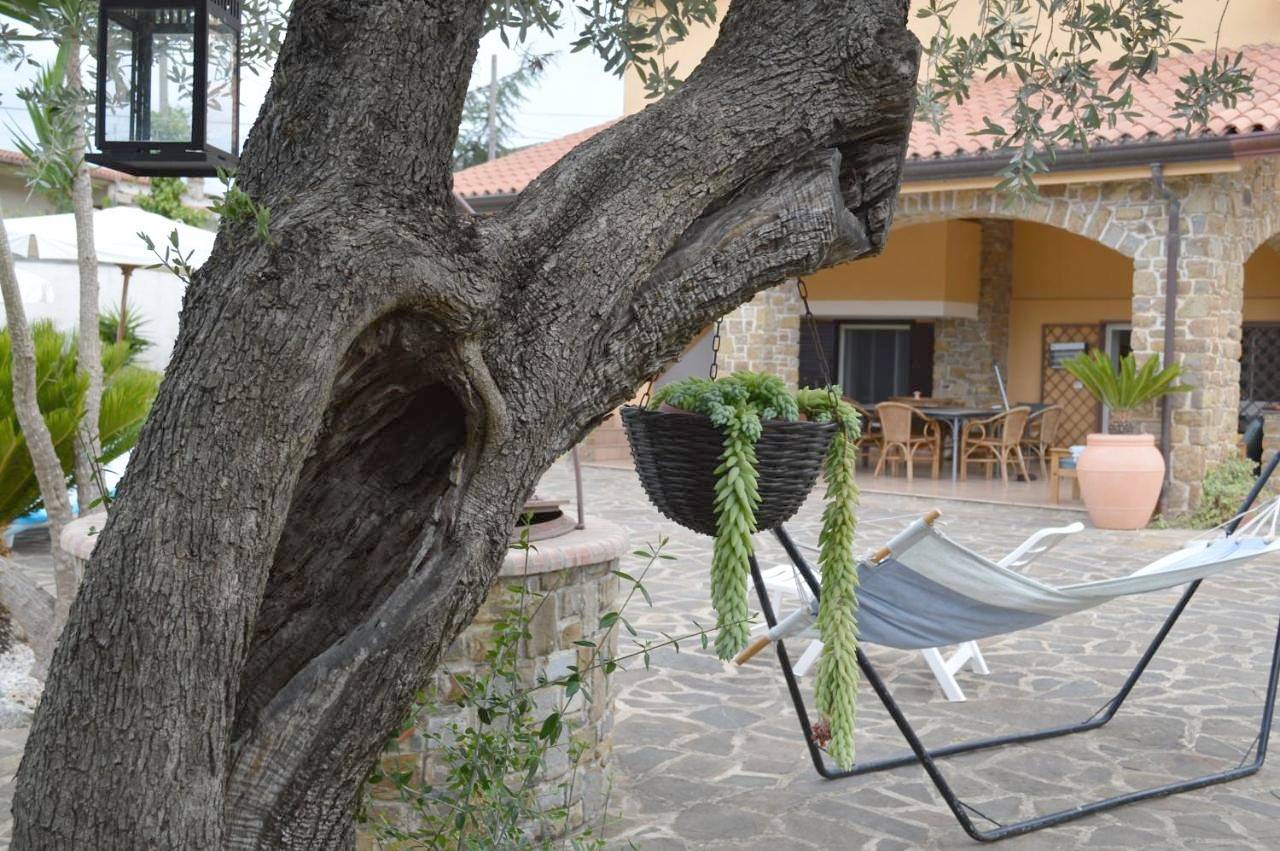 B&B Fasolino in Montecorice, Cilento Coast