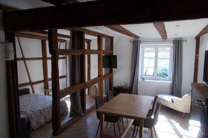 Le figuier-House-City-Ensuite with Bath-Canal view in Colmar, Colmar region