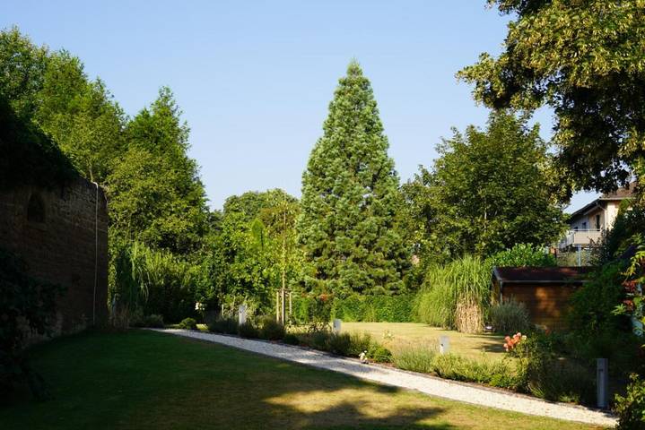 Ferienwohnung, mit Terrasse und Garten sowie Ausblick in Meisenheim - 3