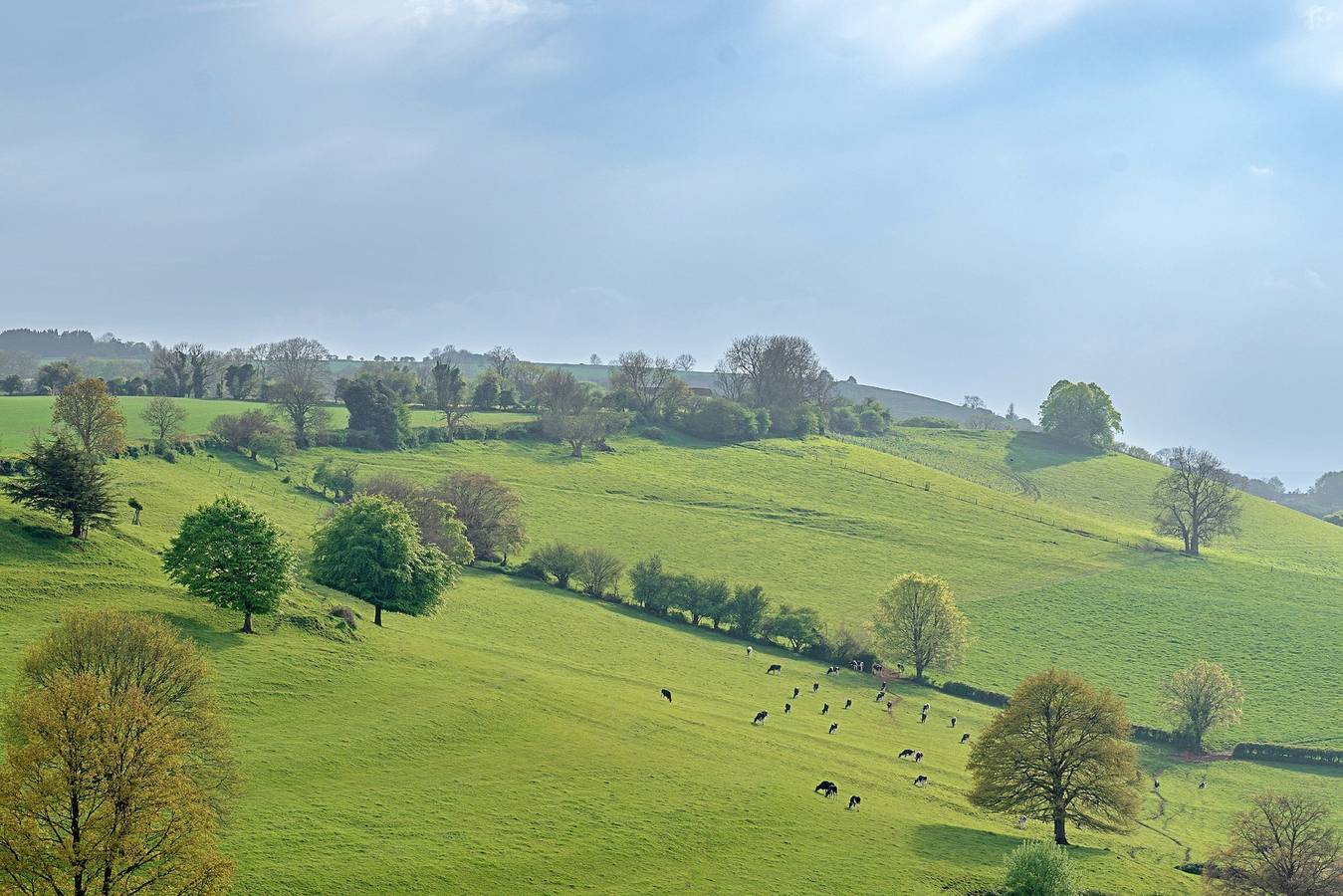 Greenhills Cottage in Batcombe, Somerset